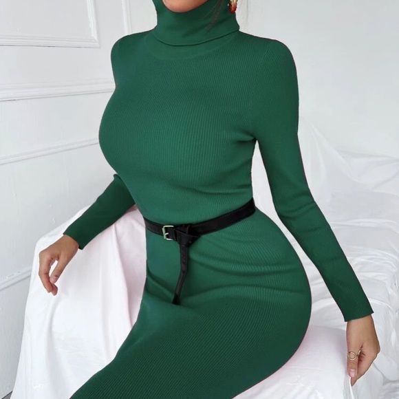 Dark Green Turtleneck Sweater Dress in L - Picture 3 of 4